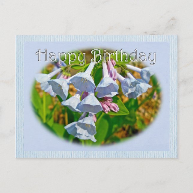 Virginia Bluebells Grattis på födelsedagen Coordin Vykort (Framsida)
