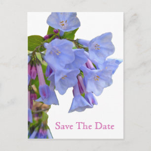 Virginia Bluebells Spara datum Meddelande Vykort