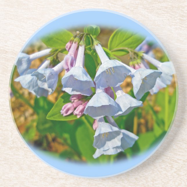Virginia Bluebells Wildbloms Underlägg (Framsidan)