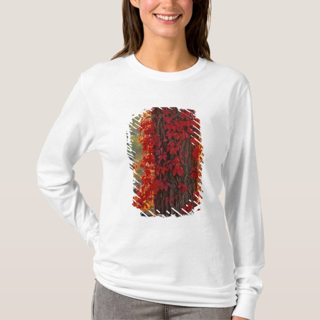 Virginia Creeper ljusröd på hösten T Shirt (Framsida)