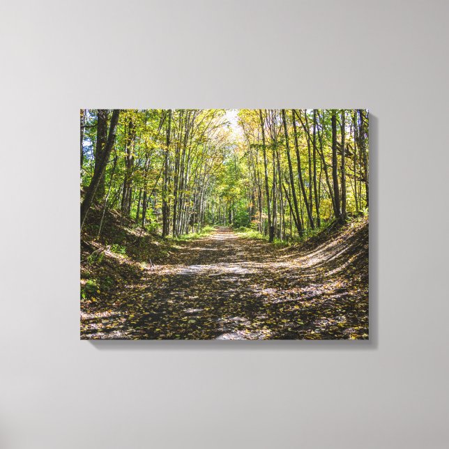 Virginia Creeper Trail Canvastryck (Framsida)