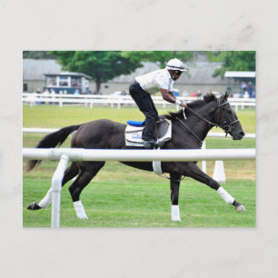 Virginia Derby Winner ’Krig Dancer’ Vykort