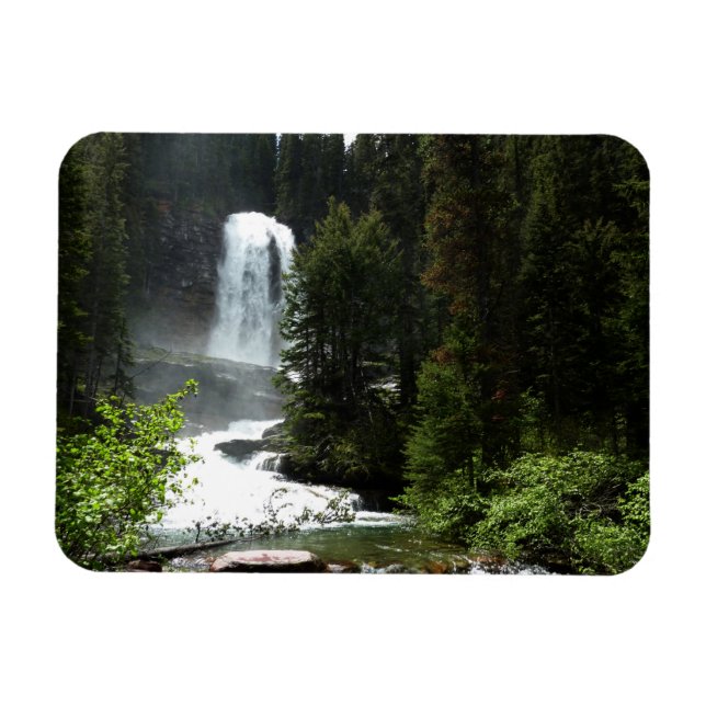 Virginia Falls i Glacier National Park Magnet (Horisontell)
