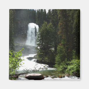 Virginia Falls i Glacier National Park Magnet