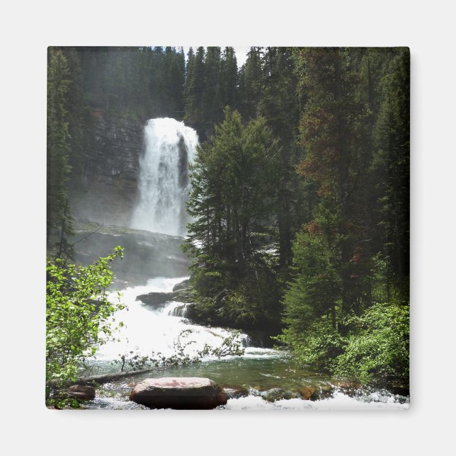 Virginia Falls i Glacier National Park Magnet (Framsidan)