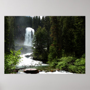 Virginia Falls i Glacier National Park Poster