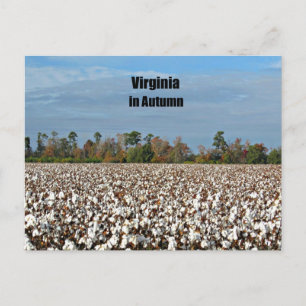 Virginia in Autumn Vykort