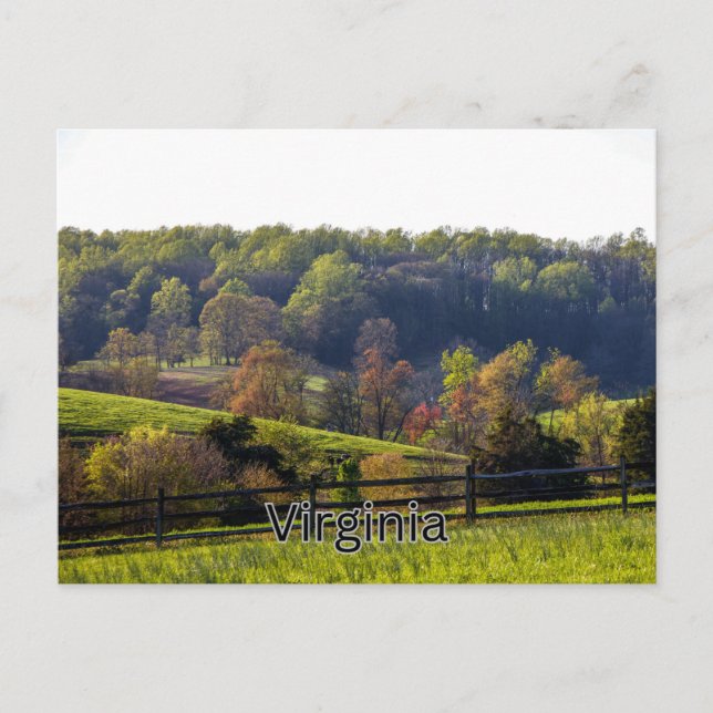 Virginia Postcard Souvenir Vykort (Framsida)