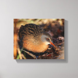 Virginia Rail i Underbrush Canvastryck