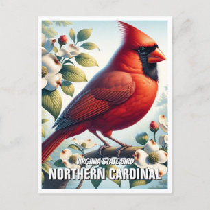 Virginia State Bird Northern Kardinal Vykort
