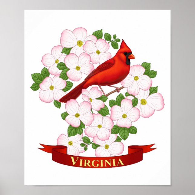 Virginia State Cardinal Bird and Dogwood Flower Poster (Framsidan)