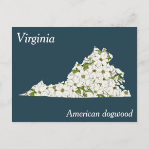 Virginia State Flower Collage Karta Vykort