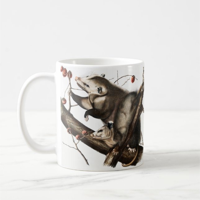 Virginian Opossum Didelphis Virginia Illustration Kaffemugg (Vänster)