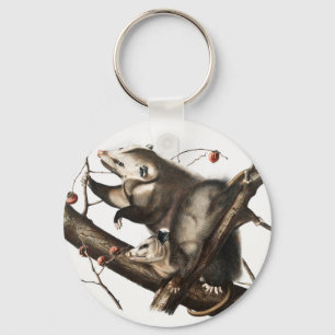 Virginian Opossum Didelphis Virginia Illustration Nyckelring