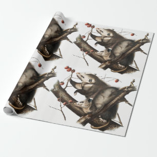 Virginian Opossum Didelphis Virginia Illustration Presentpapper