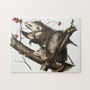 Virginian Opossum Didelphis Virginia Illustration Pussel