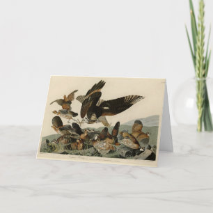 Virginian Partridge, Audubon's Birds of America Kort