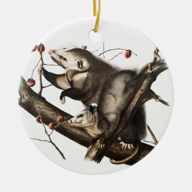 Virginisk opossum Didelphis Virginia Illustration Julgransprydnad Keramik (Framsidan)