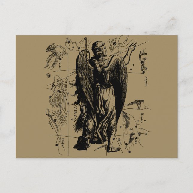Virgo stjärnbild Hevelius etsning stil Vykort (Framsida)