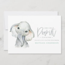Virtuell babydusch party