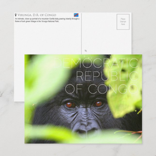 Virunga, Demokratiska republiken Kongo Resa Vykort (Fram/baksida)