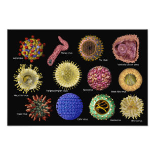 Virus Fototryck