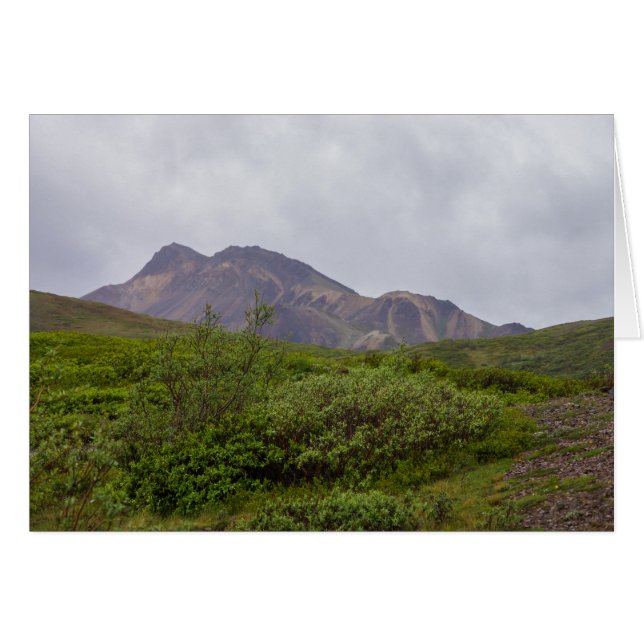 Virvlande Skönhet I Denali OBS Kort (Framsidan Horizontal)