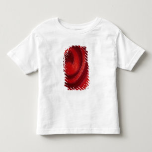 Virvlar runt av den polska nageln t shirt