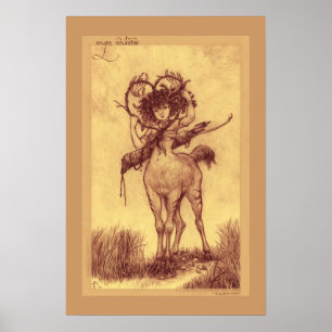 Vis man valentin poster