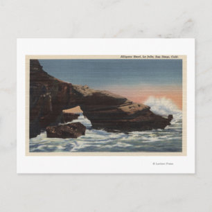 Visa Alligator Head, La Jolla Vykort
