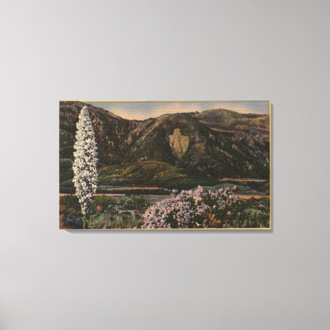 Visa Arrowhad - San Bernardino Mts., CA Canvastryck (Framsida)