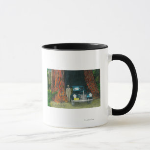 Visa Auto TreeBig Basin State Park, CA Mugg