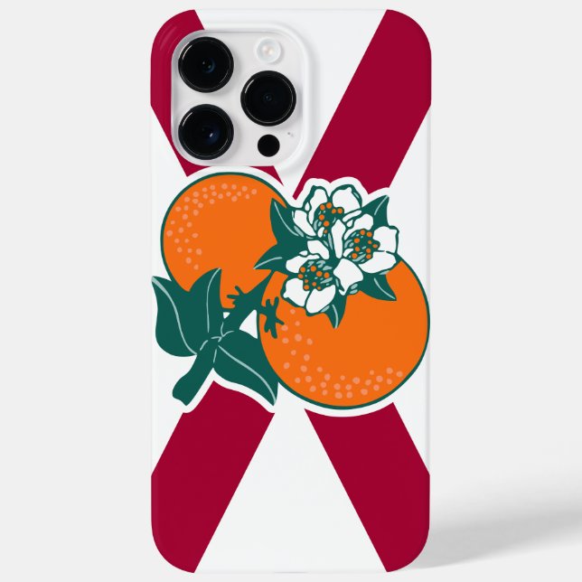 Visa av färgen - Florida (Baksida)