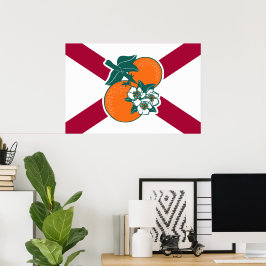 Visa av färgen - Florida Poster