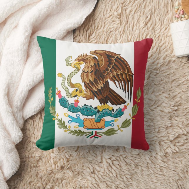 Visa av färgen - Mexiko Kudde (Filt)