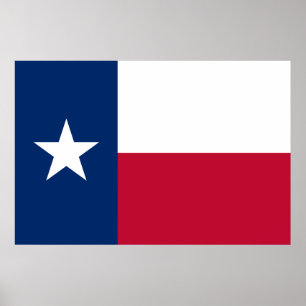 Visa av färgen - Texas Poster