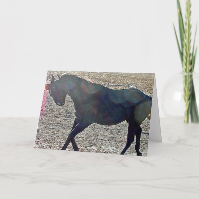 Visa av kort (Framsida)