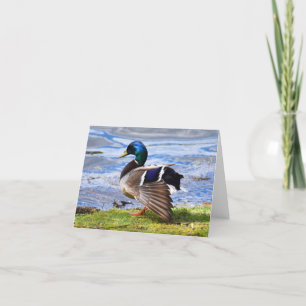 Visa av (Mallard #1) - Tomt anteckningskort