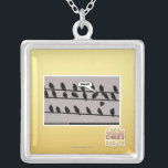 Visa av! silverpläterat halsband<br><div class="desc">Jag kan har cheezburgeranpassningsbarmerch!</div>