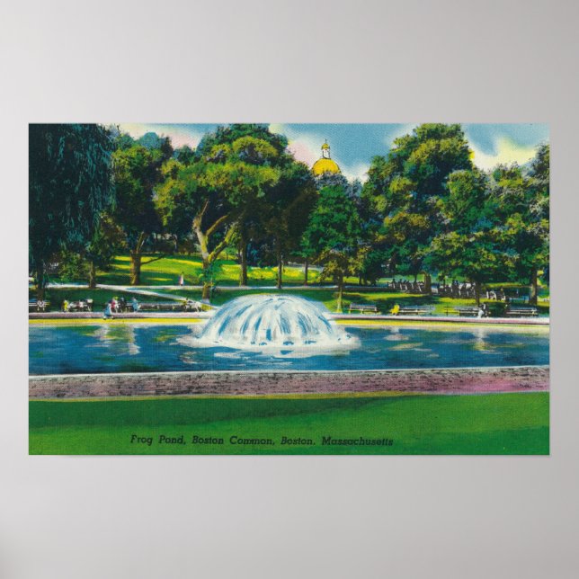 Visa Boston Common Frog Pond Poster (Framsidan)