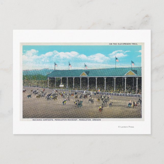 Visa Bucking Tävling Vykort (Framsida)