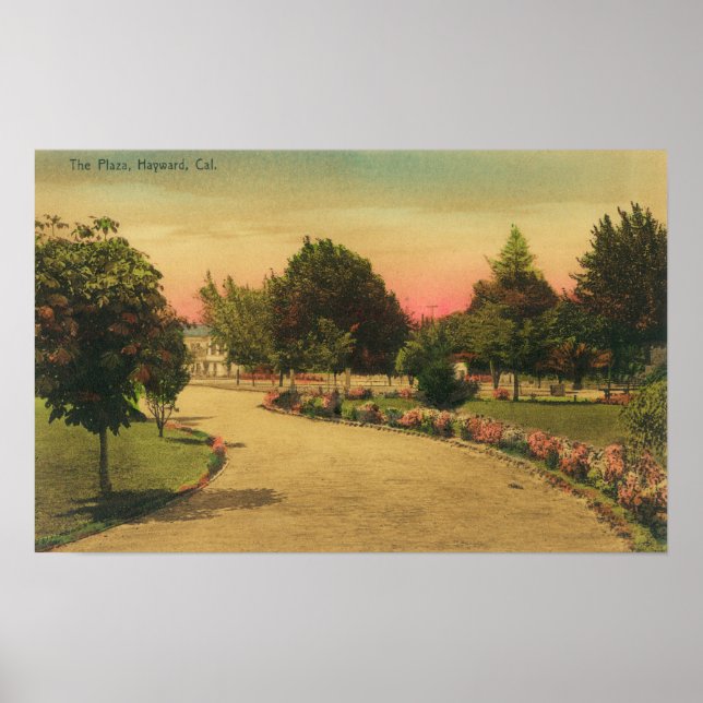 Visa City PlazaHayward, CA Poster (Framsidan)