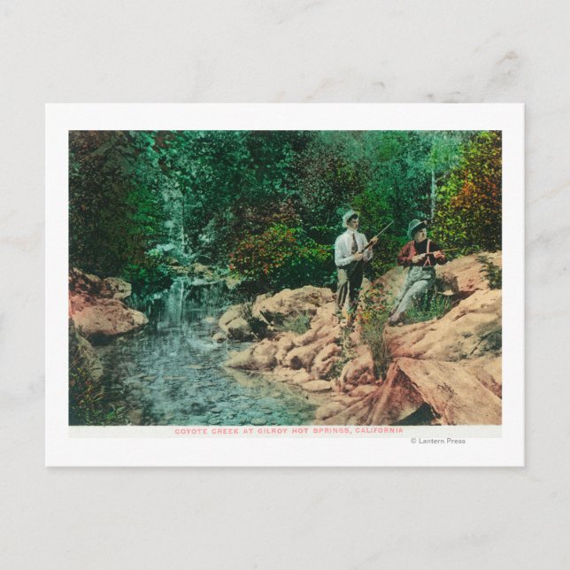 Visa Coyote Bäck vid Gilroy Hett Vår Vykort (Framsida)