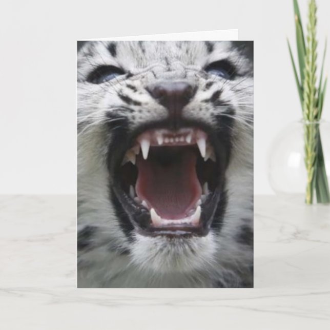 visa dina tänder kort (Framsida)