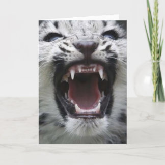 visa dina tänder kort