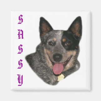 Visa ditt pride magnet