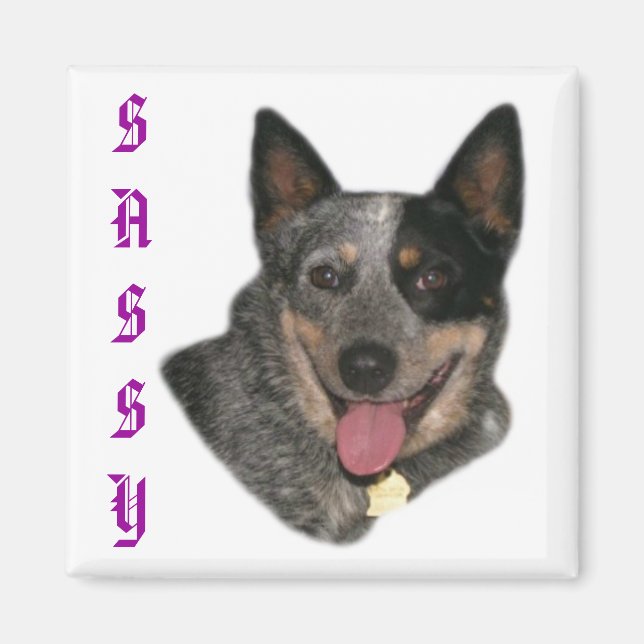 Visa ditt pride magnet (Framsidan)