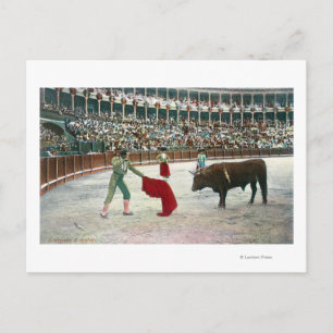 Visa en Matador På till Slay the BullSpain Vykort