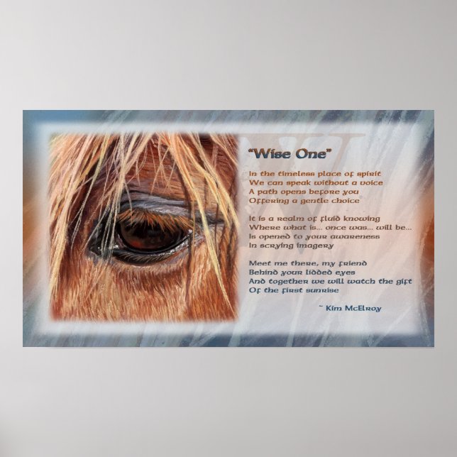 Visa en motiverande poster, © Kim McElroy Poster (Framsidan)