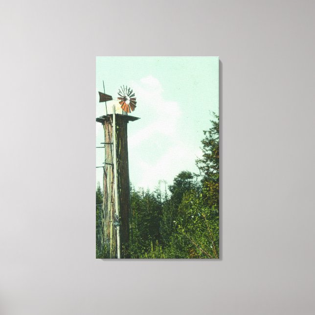 Visa en Sequoia-Vind MillEureka, CA Canvastryck (Framsida)